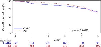 Comparison of Coronary Artery Bypass Grafting and Drug-Eluting Stent Implantation in Patients With Chronic Kidney Disease: A Propensity Score Matching Study